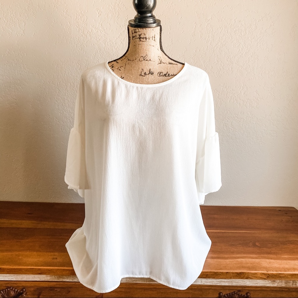 Sheer Ruffle Sleeve Top